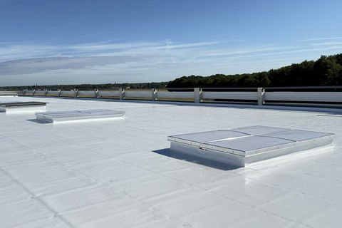 Toiture Végétalisée